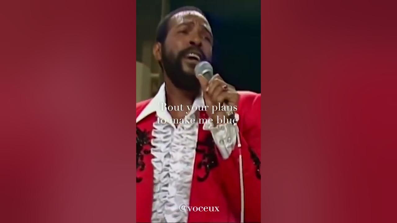 Marvin Gaye - I Heard It Through the Grapevine #voice #voceux #lyrics #perfectloop #acapella