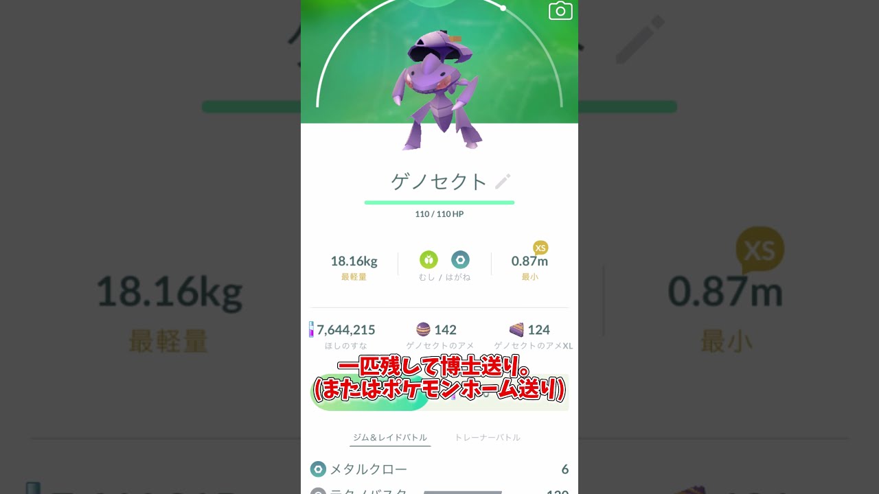 断捨離すべきポケモン5選！ポケモンボックス整理法を紹介