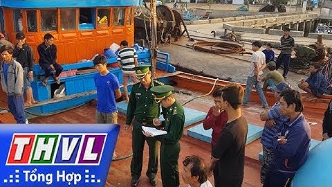 THVL | Người đưa tin 24G: Tàu cá của ngư dân Quảng Ngãi bị tàu Trung Quốc đâm chìm