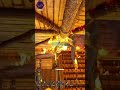 Mistakes Were Made! #basebuilding #gaming #darkd3monking #fire #icarus #funny #mistakesweremade