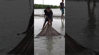 wonderful day for small fish catching in river #river fishing video