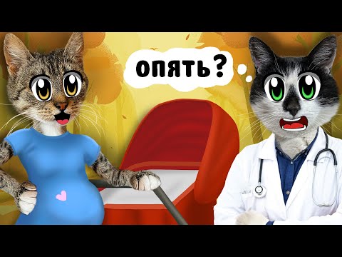 КОШКА ИСА СНОВА БЕРЕМЕННА! СКОРО РОДЫ! НОВЫЙ КАРТОННЫЙ ДОМИК для КОШЕЧКИ! КОТЯТА ЮГИ и ЯНИ ГДЕ МАМА