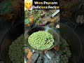 Delicious popcorn recipes zemtvs