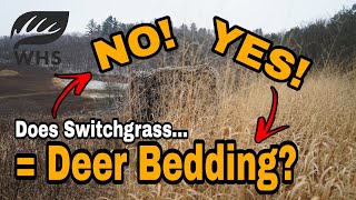 Switchgrass For Deer Bedding