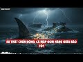 SỰ THẬT CHẤN ĐỘNG: Cá mập gom hàng giữa bão tố?