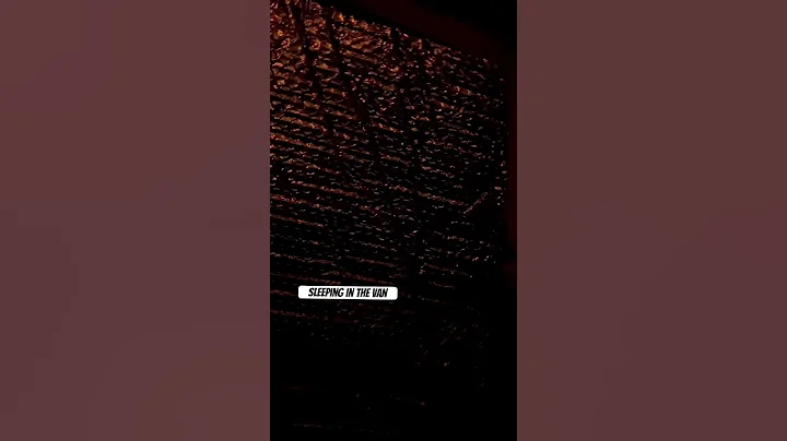 Muggles on the road #vanbuilder #newbie #vanlife #gmc #diy #shorts #summer