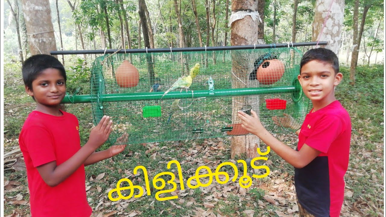 How to make birds cage Malayalam YouTube