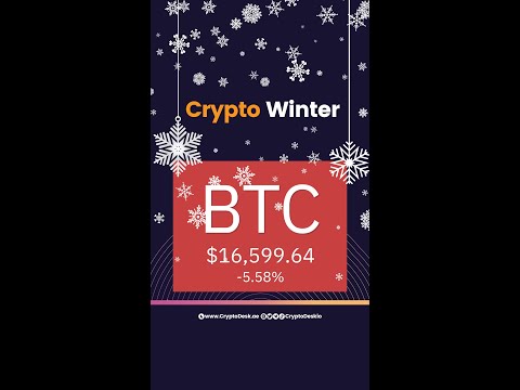 How Crypto Winter