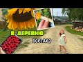 VLOG: Поездка в деревню к родителям/trip to the village