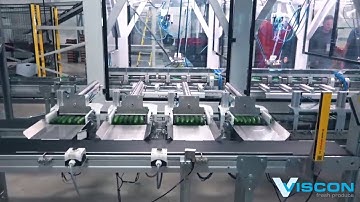 Sorting & Packing line for mini-cucumbers - Viscon Fresh Produce