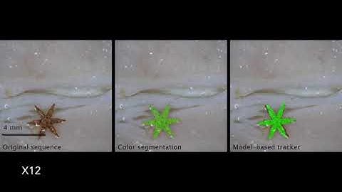 Scheggi et al. - RAS 2017 - Surgical Robotics Lab
