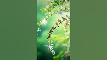 القرآن الكريم #اكسبلور #الرحمن #دويتو #اعتني #تيك_توك #ترند #لايك #العظماء