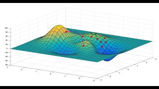 A Genetic Algorithm Can Perform Stock Selection and Simultaneously Assign Optimal Asset Weighting
