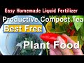 How to Make Fertilizer FREE Compost Tea Plant Food Organic to Grow Vegetables in Container Gardening