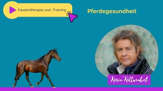 Faszientherapie Und -Training Für Pferde Pferdegesundheit Karin Kattwinkel