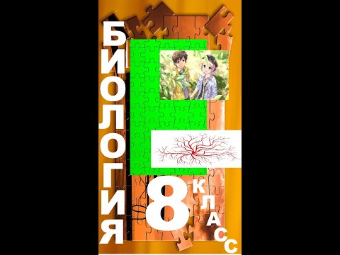 § 10 Автономный (вегетативный) отдел нервной системы. Нейрогуморальная регуляция