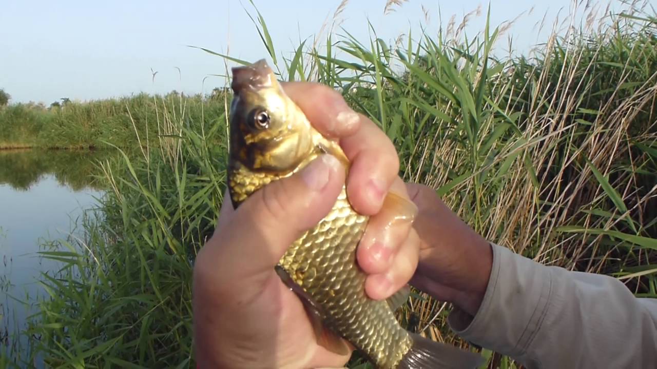 Рыбалка в Николаеве. Рыбалка в полнолуние. - YouTube