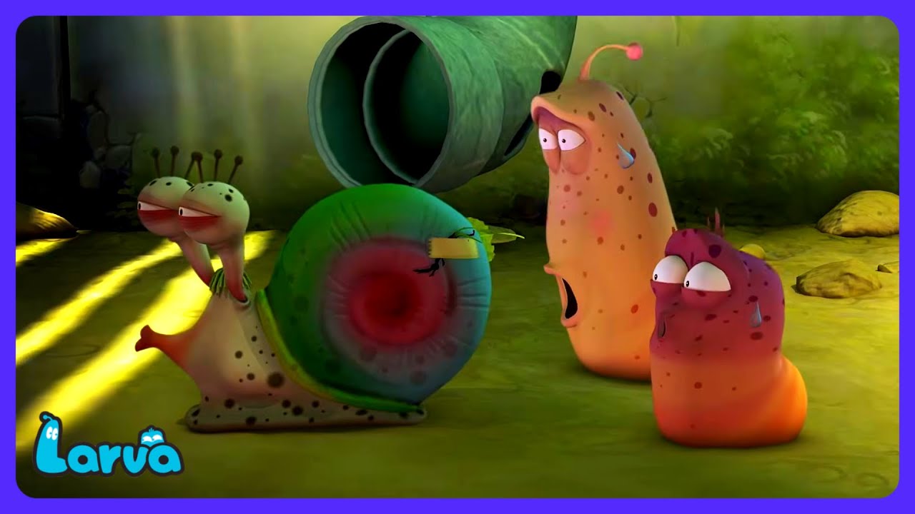 Larva - Toksyczny wyścig ślimaków | Bajki dla dzieci | WildBrain Dzieci