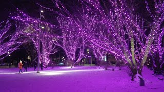 Walking 3 weeks before Christmas | Gothenburg Sweden 🇸🇪 [4k]