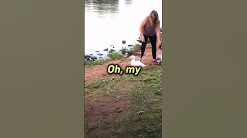 Pet Duck Released in Wild! BAD Idea😥