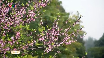 NÉT ĐẸP DÂN GIAN | ĐÒNG BÀO GIAO TIỀN Ở BẢN SUỐI LÈO