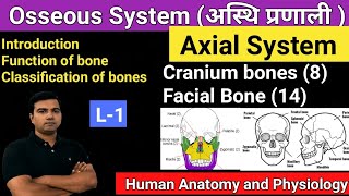 Osseous System (L-1) Axial System (Cranium and Facial Bone)