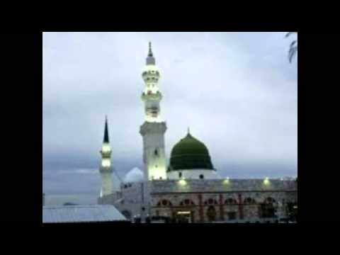 جهاد الكالوتي يا راحلا إن جئت وادي المنحنى 