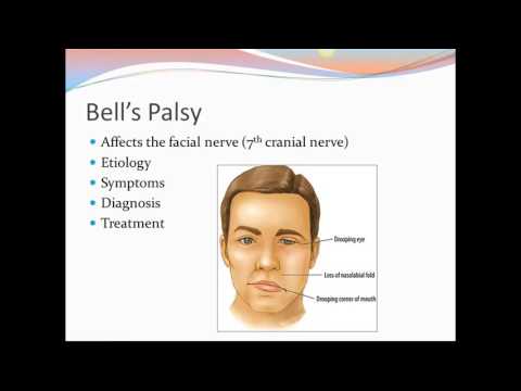 Video: Diseases Of The Nervous System - Causes And Symptoms Of Diseases Of The Nervous System