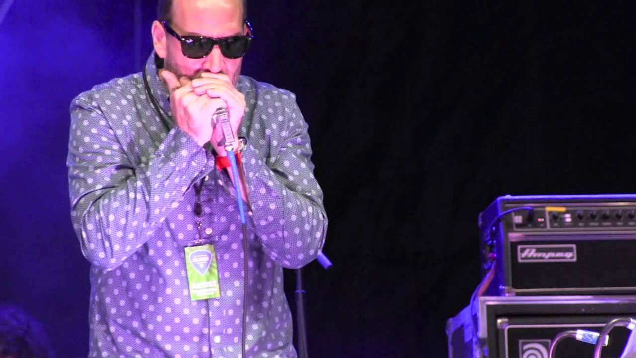 "Diving Duck Blues" THE KINGSNAKES  7/10/15