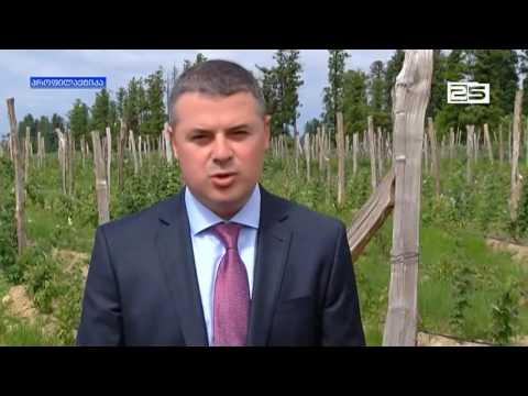 ევროკომისარმა ვიზიტის ფარგლებში აგროსერვისცენტრი დაათვალიერა