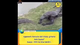 #prank #buaya #autongakak manusia nge prank buaaya- ending nya bikin ngakak sedunia😄😅