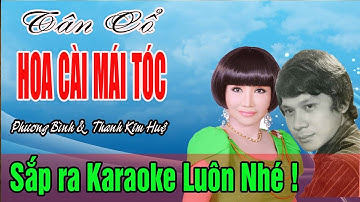 Hoa Cài Mái Tóc || Tân Cổ ||  Phương Bình & Thanh Kim Huệ|| Tan co xua truoc 1975