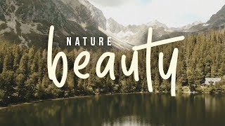 ROYALTY FREE Classical Background Music | Orchestral Instrumental Music Royalty Free