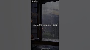 سورة التوبة Surah At-Tawbah | ألم يعلموا أن الله هو يقبل التوبة عن عباده | Osama Alkady🤎