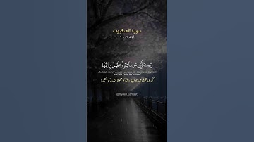 سورة العنكبوت آيات ( ٥٦  - ٦٠ )   القارئ عبدالرحمن مسعد ||  59-60 Sura Al-Ankanbut