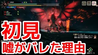 【モンハンサンブレイク】タカティン初見じゃないとバレた理由 炎上理由『モンスターハンターライズ：サンブレイク』