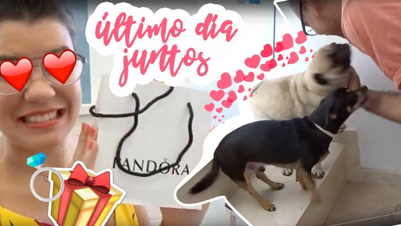 -VLOG- Último día juntos + Regalito de Pandora + Haciendo las maletas manualidades de animales