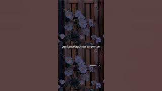 always be your star- lia(itzy)