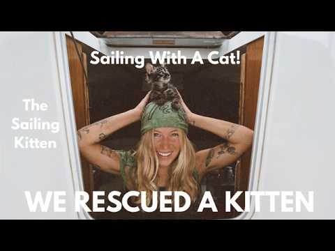 ⁣The Sailing Kitten  | We Rescued a Kitten… Now She Lives on Our Sailboat!