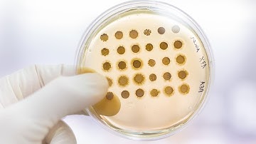 Elementary Business Statistics | Central Limit Theorem for Sample Means