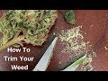 How to trim marijuana buds