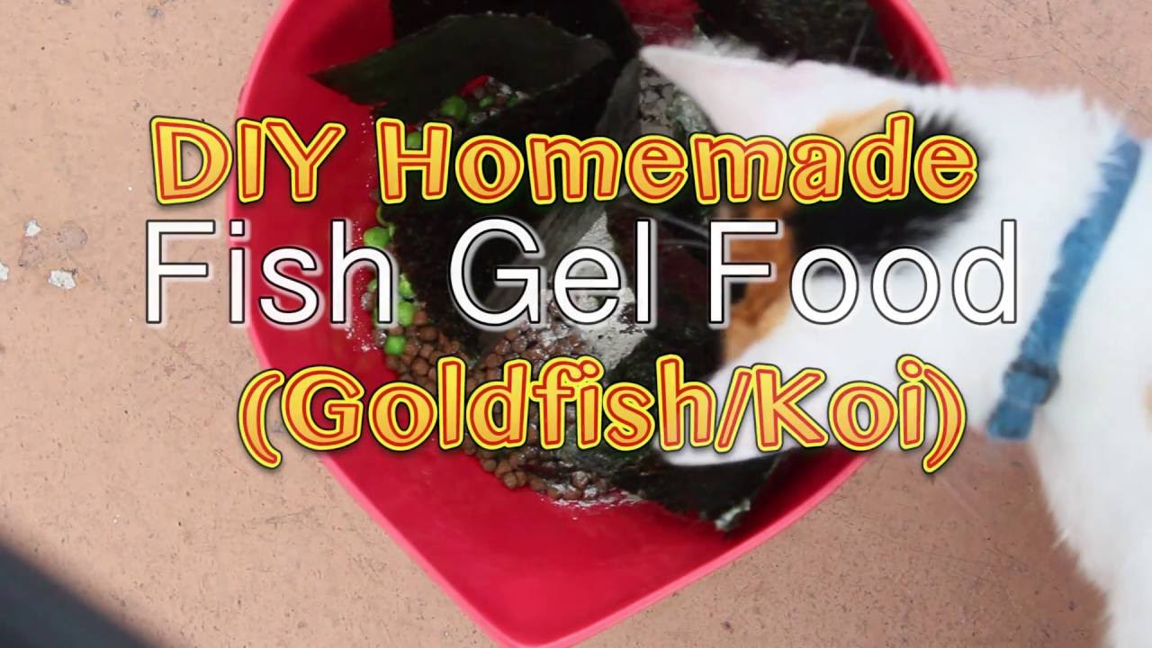 koi fish food homemade