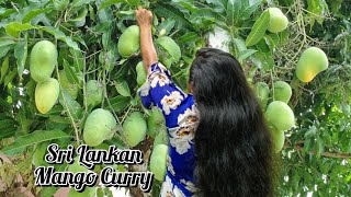 Sri Lankan yummy mango curry by Ceylon rustic repasts|අඹ ඇඹුල
