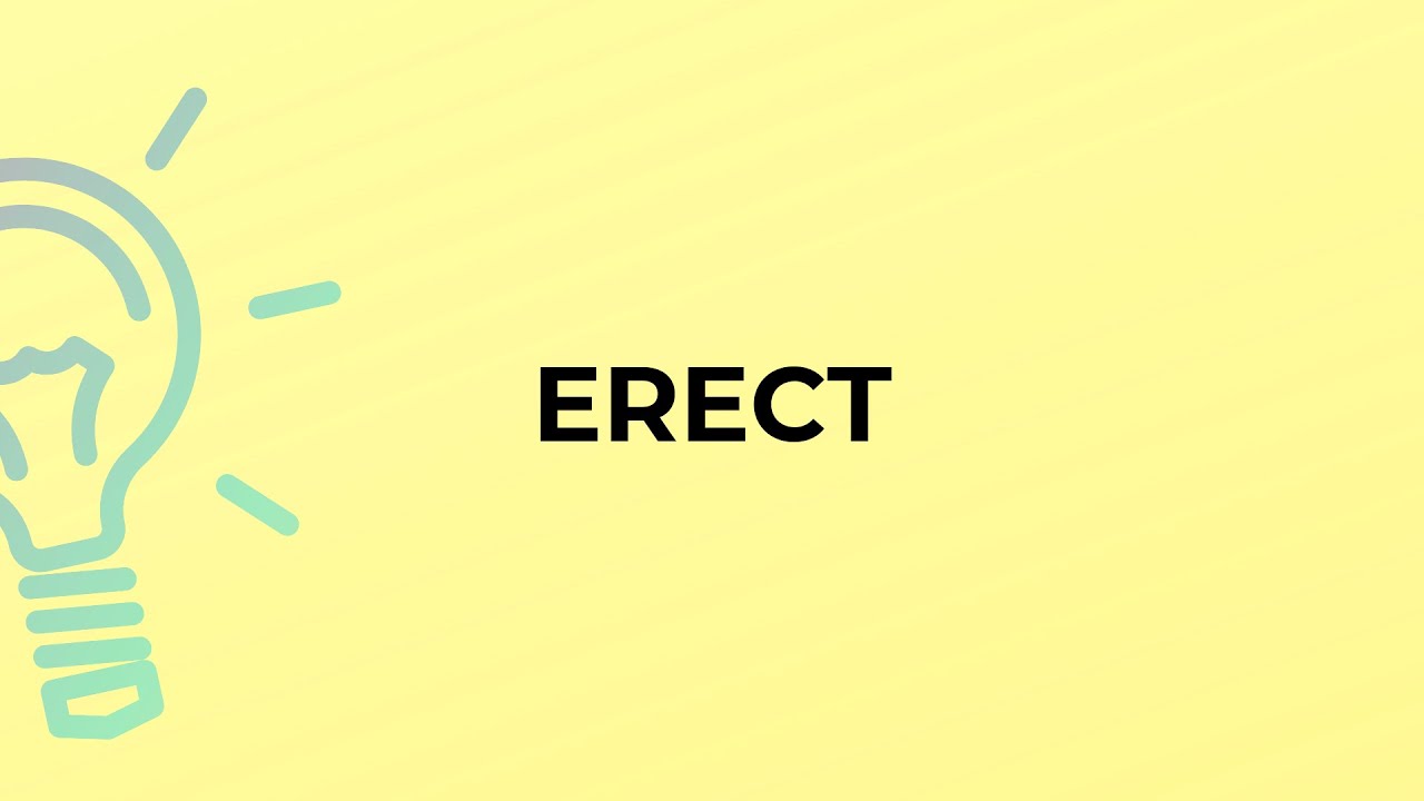 What is the meaning of the word ERECT? YouTube