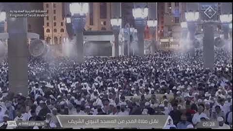 صلاة الفجر من المسجد النبوي 16 ربيع أخر 1446 للشيخ عبدالله القرافي من سورة آل عمران