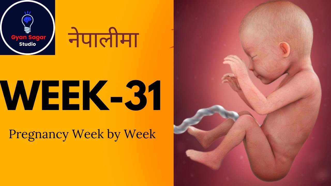 31 Week Pregnancy in Nepali गर्भावस्था को ३१ हप्ता 31 Week Pregnant