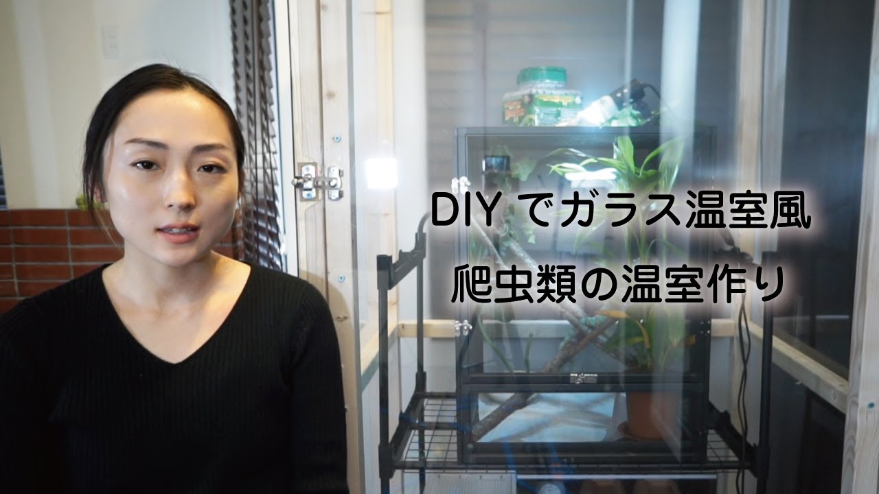 Diyで爬虫類の温室作り How To Make A Reptile Greenhouse Hothouse Glasshouse Youtube