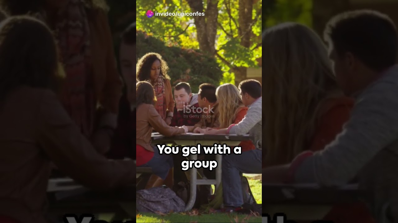 Confession #7 The Kitty and Campus Dilemma 