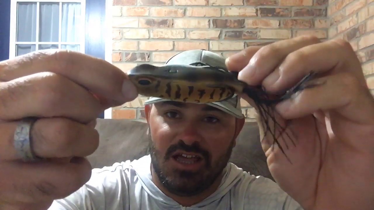 Top 5 baits for Bass Fishing and Live Q&A