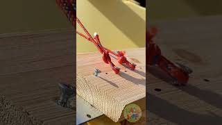 Ancient Skills Meet Modern Pets Diy Dog House